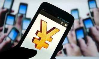 互聯網支付 心跳加速的便利，網絡與信息安全軟件開發的守護之道